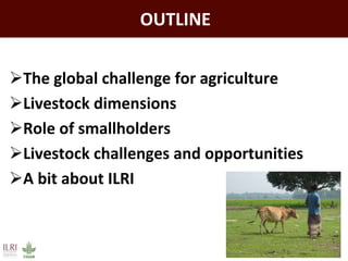 Feeding the world: Smallholders and livestock