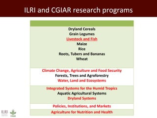 Feeding the world: Smallholders and livestock