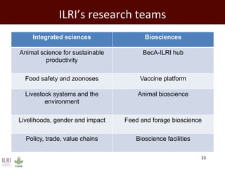 Feeding the world: Smallholders and livestock