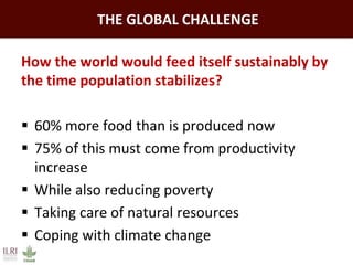 Feeding the world: Smallholders and livestock
