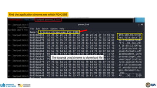 Find the application chrome.exe which PID=2388
The suspect used chrome to download file
 
