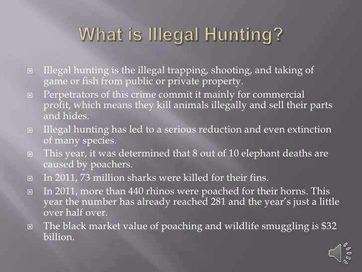 Illegal hunting in colorado project