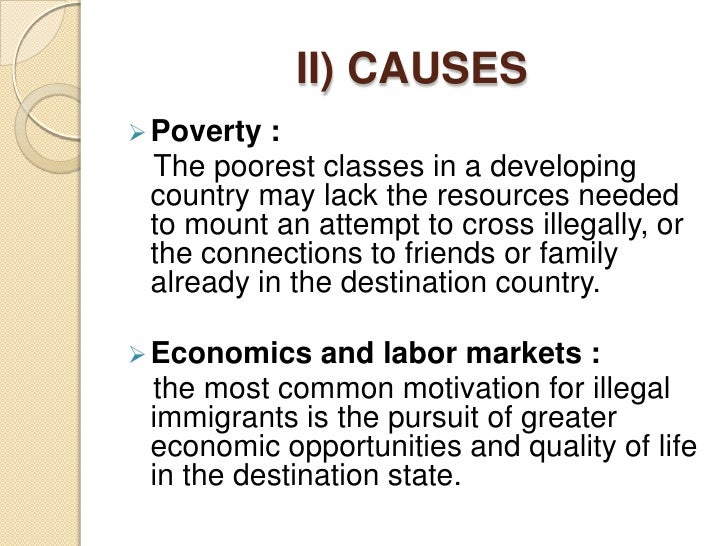 effects of immigration essay