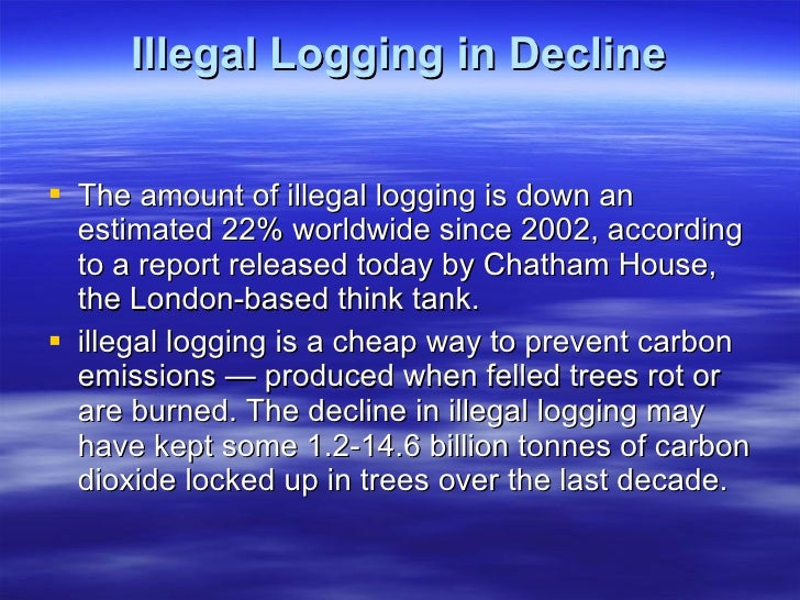 Illegal logging