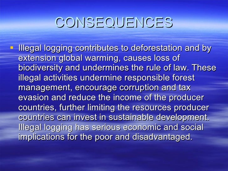 Illegal logging