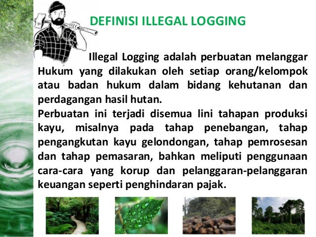 pasal hukum illegal logging oleh Pengacara Balikpapan Samarinda hp/wa tsel 0812345 3855