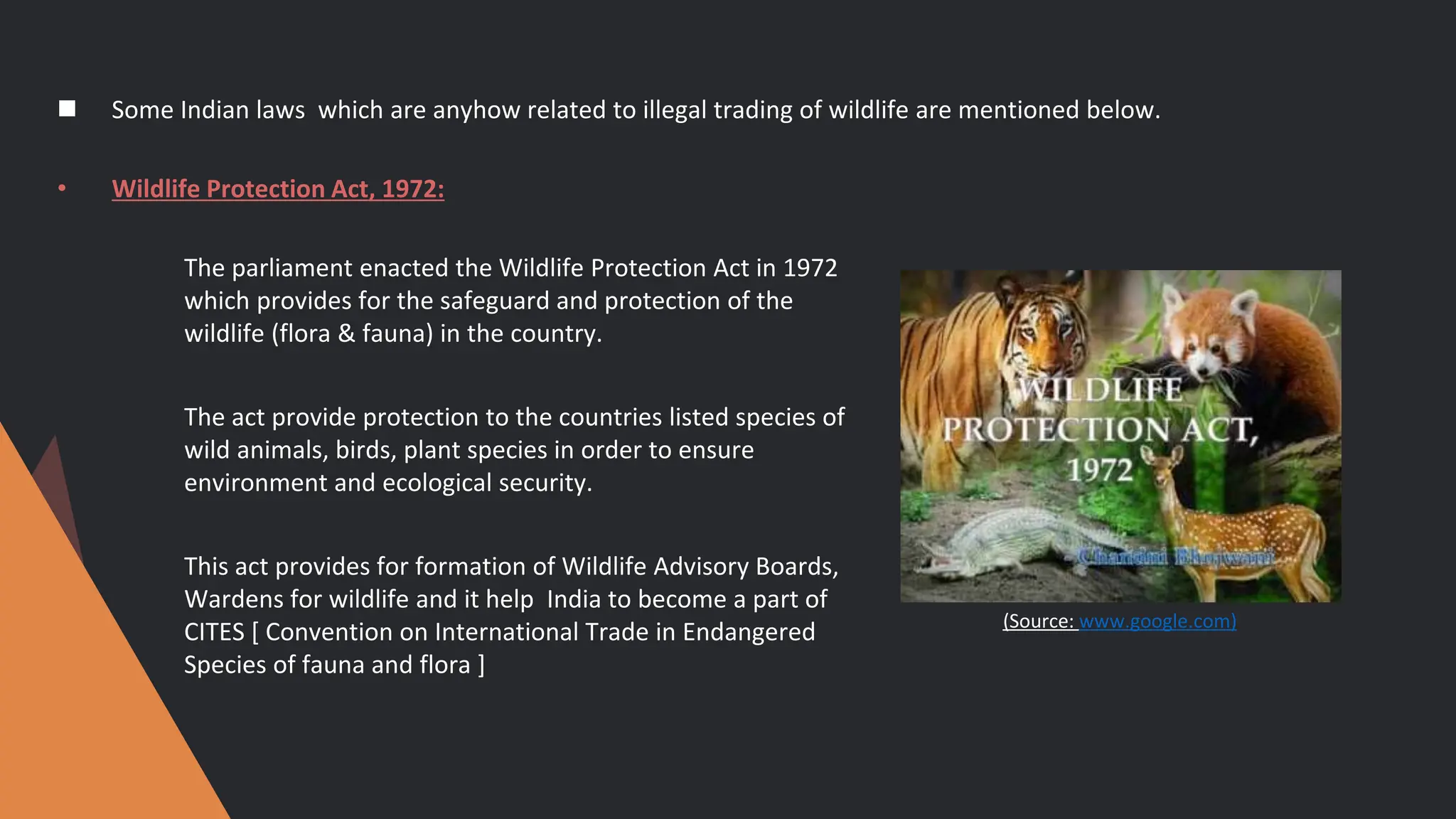 ILLEGAL TRADE OF WILDLIFE ITEMS.................pptx