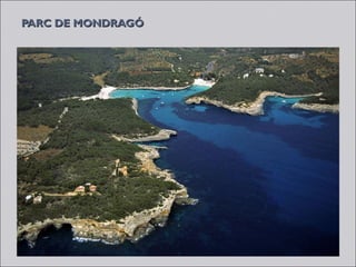 PARC DE MONDRAGÓ
 