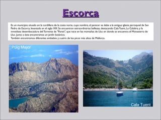 Escorca
Es un municipio situado en la cordillera de la costa norte, cuyo nombre, al parecer se debe a la antigua iglesia parroquial de San
Pedro de Escorca, levantada en el siglo XIII. Se encuentran estraordinárias bellezas, destacando Cala Tuent, La Calobra, y la
inmediata desembocadura del Torrente de "Pareis", que nace en las montañas de Lluc en donde se encuentra el Monasterio de
Lluc. Junto a éste encontramos un jardín botánico.
También encontramos diferentes embalses y cuatro de los picos más altos de Mallorca.


Puig Major




                                                                                                                 Cala Tuent
 