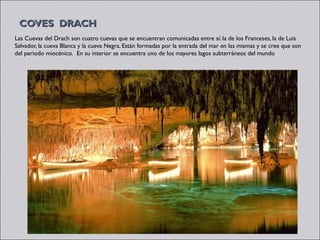 COVES DRACH
Las Cuevas del Drach son cuatro cuevas que se encuentran comunicadas entre sí: la de los Franceses, la de Luis
Salvador, la cueva Blanca y la cueva Negra. Están formadas por la entrada del mar en las mismas y se cree que son
del periodo miocénico.  En su interior se encuentra uno de los mayores lagos subterráneos del mundo
 