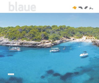 blaue




Cala Sa Nau
 