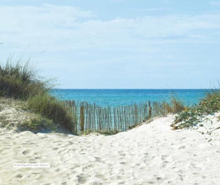 Strand „Playa de Es Trenc”, Mallorca
 