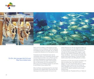Trockenfisch „Peix Sec”                    Meeresboden


                                           Sand, wie die von Illetes, wo Ihre Spuren im Sand     andere Dimension ein. Bei der Ankunft im Hafen von
                                           aussehen, wie die von Robinson. Oder der Sandstein    La Savina überkommt uns das Gefühl, das sich etwas
                                           der Steilküste am Racó de Sa Pujada, der vom Wetter   in unserem Inneren verändert hat. Der Himmel ist
                                           zu regelrechten Skulpturen der Natur geformt wurde.   sehr groß, die Dämmerungen fallen langsam, es gibt
                                                                                                 keine Eile. Man berührt die Elemente: den Sand, die
                                           Formentera ist eine Schatzkarten-Insel. Sie hat       Steine, das Wasser – und wäre gern ein Künstler. Man
                                           verschiedene Meere und verschiedene Himmel, wenn      genießt einfach jeden Moment. Und hat das Gefühl,
                                           wir den Horizont im Osten, den im Westen und den      endlich seinen Platz in der Welt gefunden zu haben.
      Ein Ort, den man ganz herrlich vom
                                           der beiden Wasserbecken im Inselinneren zählen.
                  Meer aus erleben kann    Dort scheint die Insel sich selbst widerzuspiegeln.   Formentera ist ein Ort, den man ganz wunderbar vom
                                           Wie ein Märchenland. Die Felsvorsprünge bei La        Meer aus erleben kann. Vom Strand „Playa de
                                           Mola und am Cap de Barbaria leuchten aus der Ferne.   Migjorn“ bis zu den sensationellen Dünen von Illetes.
                                           Es sind Welten in einer anderen Welt.                 Bootfahren, baden, tauchen sind die Freuden, die
                                                                                                 jedem zugänglich sind. Als wäre sie eins mit diesem
                                           Wenn das Reisen ein Gemütszustand ist, dann bietet    sinnlichen Mix, fügt die Inselküche noch ein paar
                                           Formentera eine wirkliche Reise. Kaum hat man die     Genüsse hinzu.
                                           Meerenge mit dem Boot passiert, tritt man in eine     Am Meeresufer eine “Ensalada de Peix sec” (Salat mit


30
 