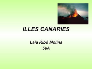 ILLES CANARIES Laia Ribó Molina 5èA 