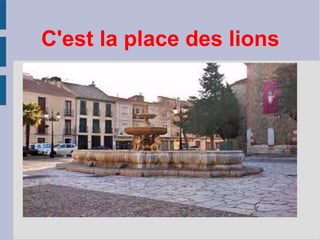 C'est la place des lions