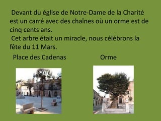 Devant du église de Notre-Dame de la Charité
est un carré avec des chaînes où un orme est de
cinq cents ans.
Cet arbre était un miracle, nous célébrons la
fête du 11 Mars.
Place des Cadenas Orme
 