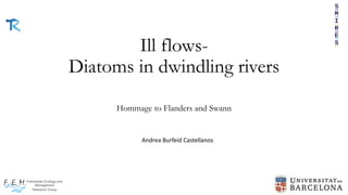 Andrea Burfeid Castellanos
Ill flows-
Diatoms in dwindling rivers
Hommage to Flanders and Swann
 