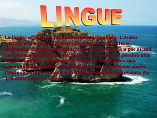 La lingua ufficiale è l'arabo standard moderno. L'arabo
parlato correntemente dalla popolazione differisce
dall'arabo standard utilizzato nella forma scritta e per alcuni
costituisce addirittura una lingua "neo-araba" o persino una
lingua semitica a sé stante.Il francese costituisce una
seconda lingua diffusa.Negli ultimi anni si è diffuso anche
l'inglese,perchè ormai è una lingua mondiale,conosciuta da
1/3 della popolazione-
 