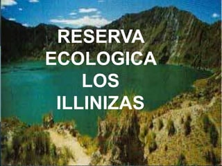 RESERVA
ECOLOGICA
LOS
ILLINIZAS
 