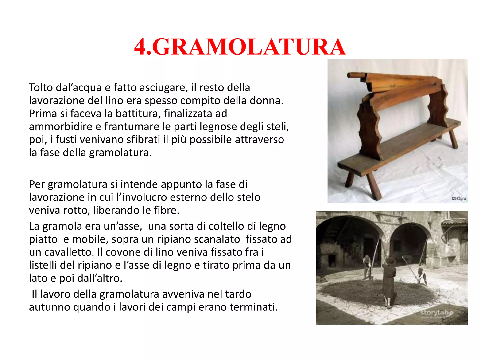 4.GRAMOLATURA
Tolto dal’acqua e fatto asciugare, il resto della
lavorazione del lino era spesso compito della donna.
Prima si faceva la battitura, finalizzata ad
ammorbidire e frantumare le parti legnose degli steli,
poi, i fusti venivano sfibrati il più possibile attraverso
la fase della gramolatura.
Per gramolatura si intende appunto la fase di
lavorazione in cui l’involucro esterno dello stelo
veniva rotto, liberando le fibre.
La gramola era un’asse, una sorta di coltello di legno
piatto e mobile, sopra un ripiano scanalato fissato ad
un cavalletto. Il covone di lino veniva fissato fra i
listelli del ripiano e l’asse di legno e tirato prima da un
lato e poi dall’altro.
Il lavoro della gramolatura avveniva nel tardo
autunno quando i lavori dei campi erano terminati.
 