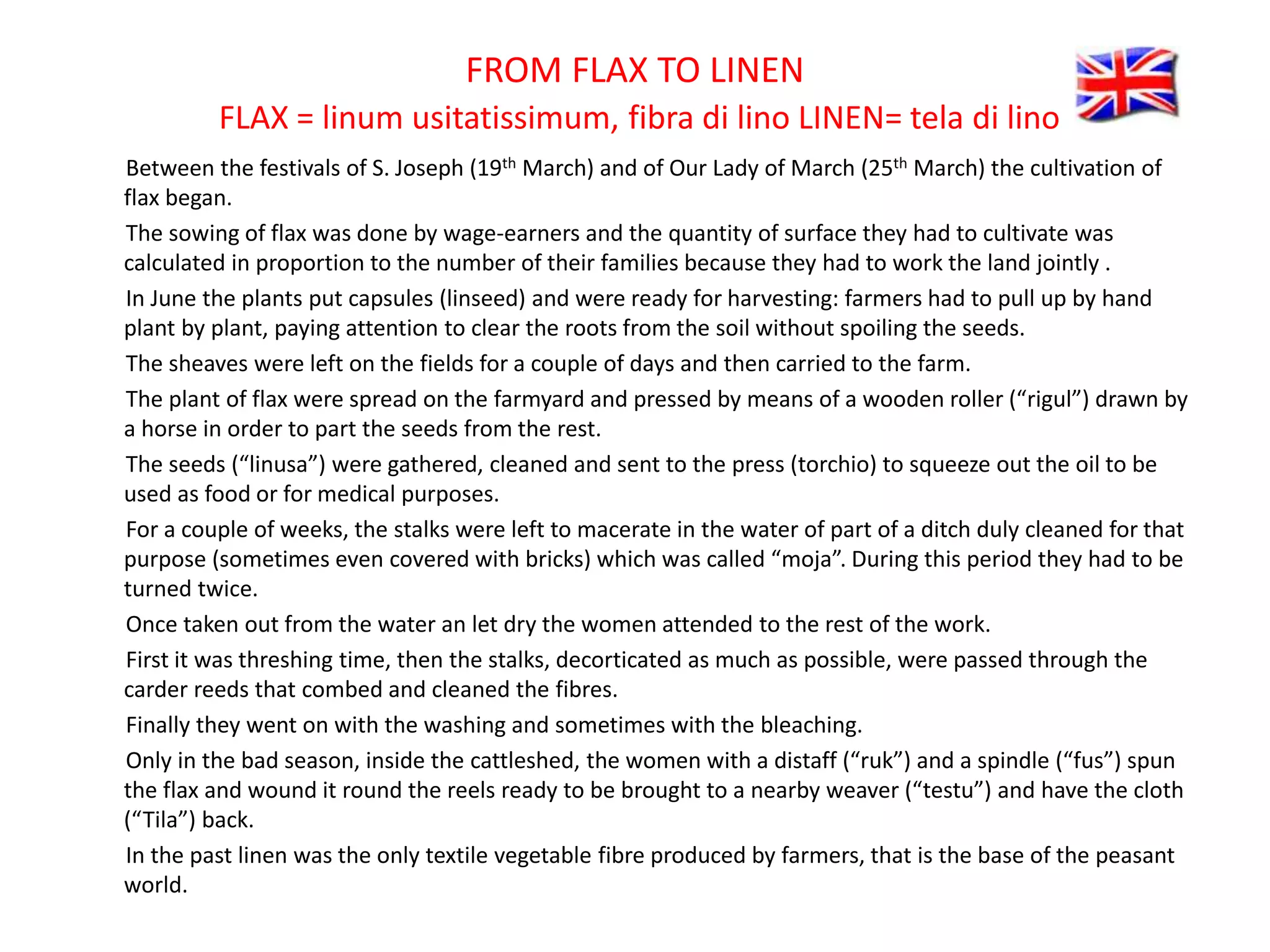FROM FLAX TO LINEN
FLAX = linum usitatissimum, fibra di lino LINEN= tela di lino
Between the festivals of S. Joseph (19th March) and of Our Lady of March (25th March) the cultivation of
flax began.
The sowing of flax was done by wage-earners and the quantity of surface they had to cultivate was
calculated in proportion to the number of their families because they had to work the land jointly .
In June the plants put capsules (linseed) and were ready for harvesting: farmers had to pull up by hand
plant by plant, paying attention to clear the roots from the soil without spoiling the seeds.
The sheaves were left on the fields for a couple of days and then carried to the farm.
The plant of flax were spread on the farmyard and pressed by means of a wooden roller (“rigul”) drawn by
a horse in order to part the seeds from the rest.
The seeds (“linusa”) were gathered, cleaned and sent to the press (torchio) to squeeze out the oil to be
used as food or for medical purposes.
For a couple of weeks, the stalks were left to macerate in the water of part of a ditch duly cleaned for that
purpose (sometimes even covered with bricks) which was called “moja”. During this period they had to be
turned twice.
Once taken out from the water an let dry the women attended to the rest of the work.
First it was threshing time, then the stalks, decorticated as much as possible, were passed through the
carder reeds that combed and cleaned the fibres.
Finally they went on with the washing and sometimes with the bleaching.
Only in the bad season, inside the cattleshed, the women with a distaff (“ruk”) and a spindle (“fus”) spun
the flax and wound it round the reels ready to be brought to a nearby weaver (“testu”) and have the cloth
(“Tila”) back.
In the past linen was the only textile vegetable fibre produced by farmers, that is the base of the peasant
world.
 