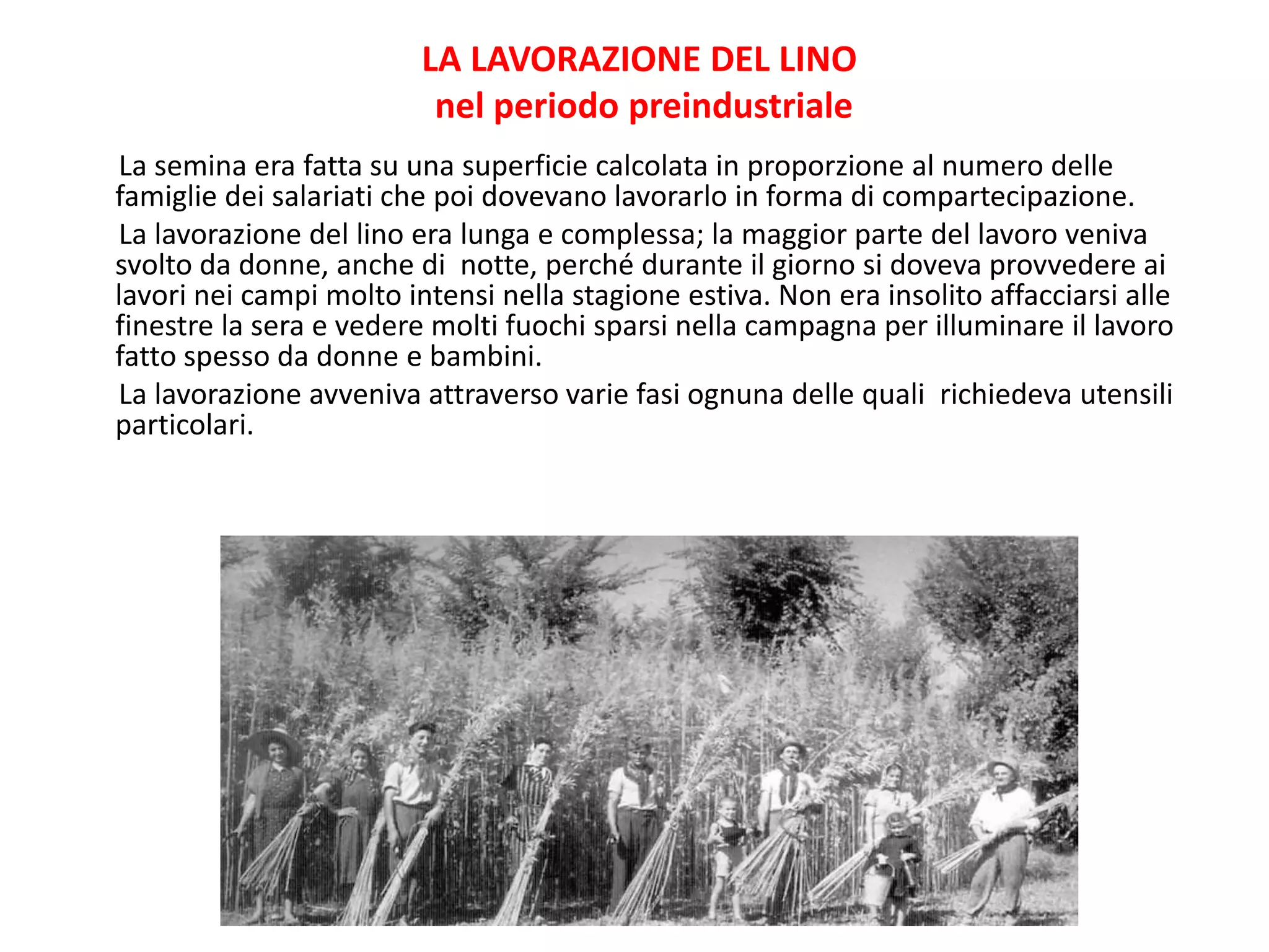 LA LAVORAZIONE DEL LINO
nel periodo preindustriale
La semina era fatta su una superficie calcolata in proporzione al numero delle
famiglie dei salariati che poi dovevano lavorarlo in forma di compartecipazione.
La lavorazione del lino era lunga e complessa; la maggior parte del lavoro veniva
svolto da donne, anche di notte, perché durante il giorno si doveva provvedere ai
lavori nei campi molto intensi nella stagione estiva. Non era insolito affacciarsi alle
finestre la sera e vedere molti fuochi sparsi nella campagna per illuminare il lavoro
fatto spesso da donne e bambini.
La lavorazione avveniva attraverso varie fasi ognuna delle quali richiedeva utensili
particolari.
 