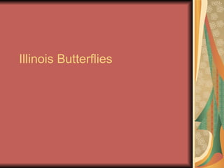 Illinois Butterflies 