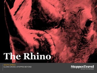 SOUTH AFRICA
ILLONA CROSS | STEPPES BEYOND
The Rhino
 