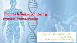 Illumina Infinium Sequencing
Introduction, Process & Advantages
Presented by: AYUSH JAIN
PALB 7286
(Jr. M.Sc.) plant biotechnology
 