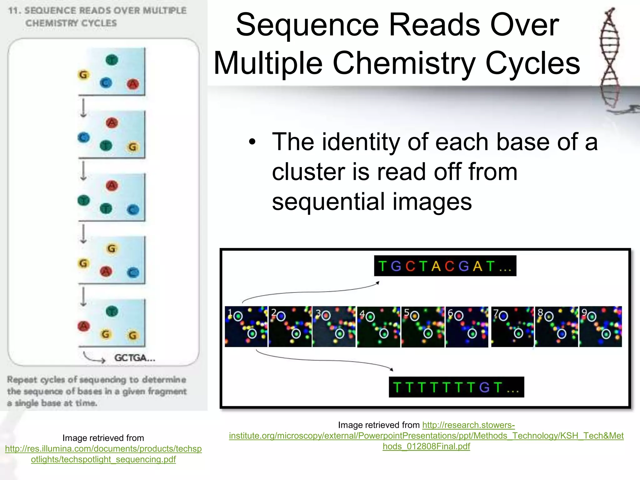 Sequence Reads Over
Multiple Chemistry Cycles
• The identity of each base of a
cluster is read off from
sequential images
Image retrieved from
http://res.illumina.com/documents/products/techsp
otlights/techspotlight_sequencing.pdf
Image retrieved from http://research.stowers-
institute.org/microscopy/external/PowerpointPresentations/ppt/Methods_Technology/KSH_Tech&Met
hods_012808Final.pdf
 