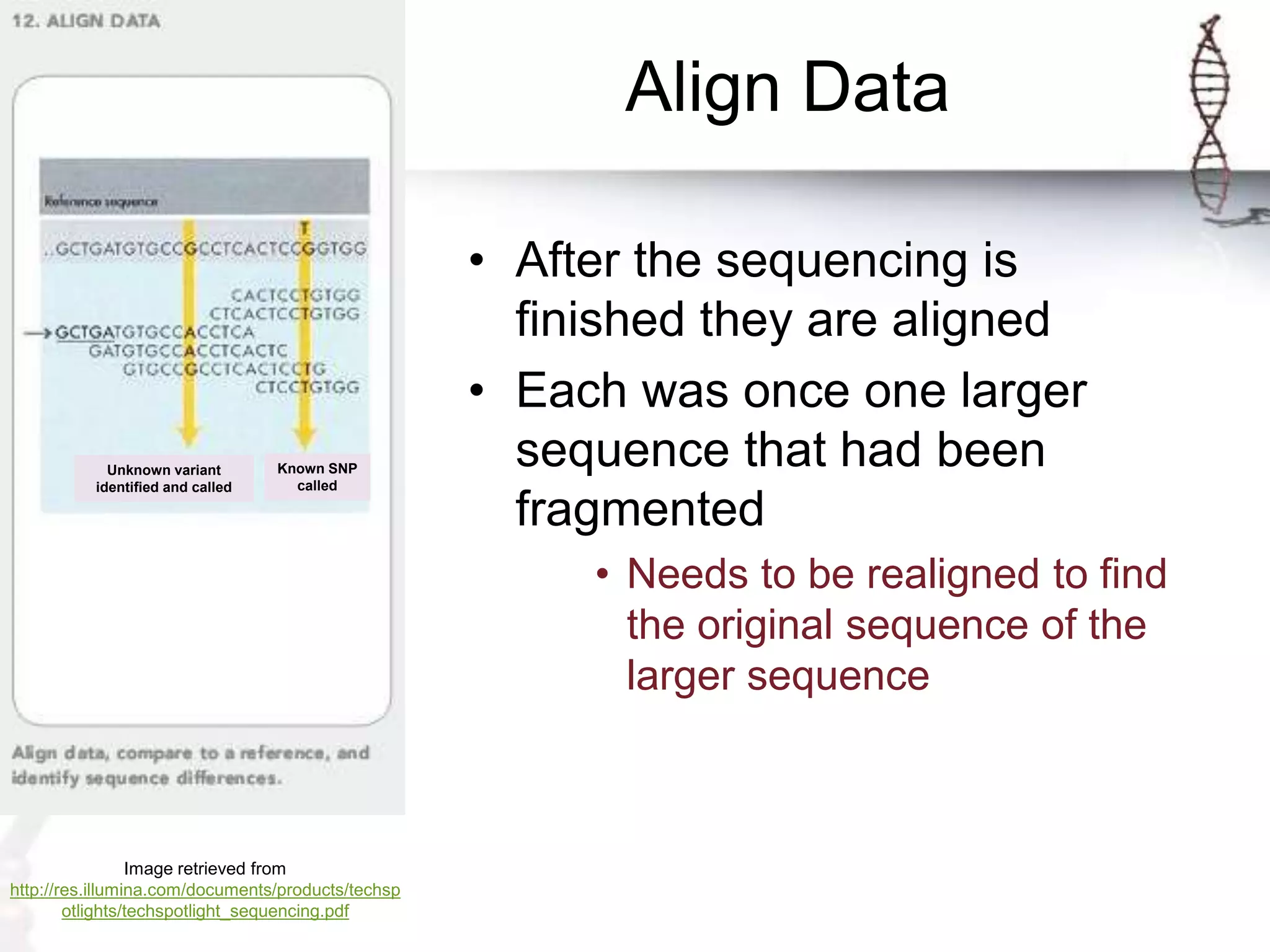 Align Data
• After the sequencing is
finished they are aligned
• Each was once one larger
sequence that had been
fragmented
• Needs to be realigned to find
the original sequence of the
larger sequence
Image retrieved from
http://res.illumina.com/documents/products/techsp
otlights/techspotlight_sequencing.pdf
Unknown variant
identified and called
Known SNP
called
 