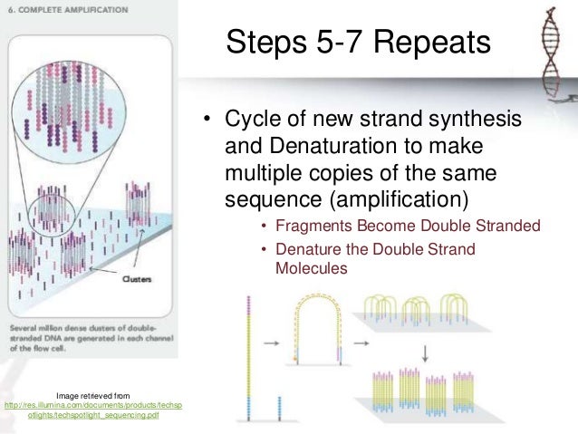 Illumina Sequencing