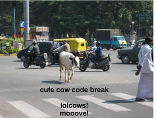 cute cow code break lolcows! mooove! 