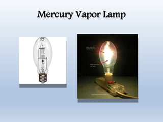 Mercury Vapor Lamp
 