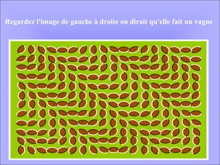 Regardez l'image de gauche à droite on dirait qu'elle fait un vague 