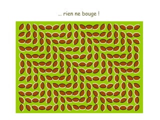 … rien ne bouge !
 