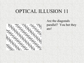 OPTICAL ILLUSION 11 Are the diagonals parallel?  You bet they are!  