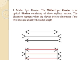 Illusion and hallucination | PPTX