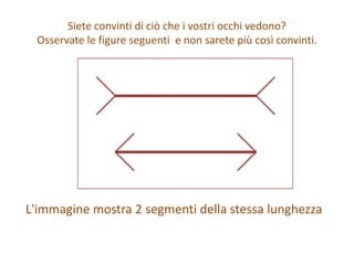 Illusioni ottiche | PDF