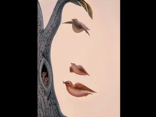 Illusioni octavio ocampo (1) | PPS