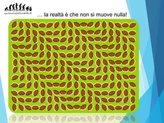 Illusioni ottiche | PPS