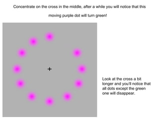 Concentrate on the cross in the middle, after a while you will notice that this moving purple dot will turn green!  Look at the cross a bit longer and you‘ll notice that all dots except the green one will disappear.  