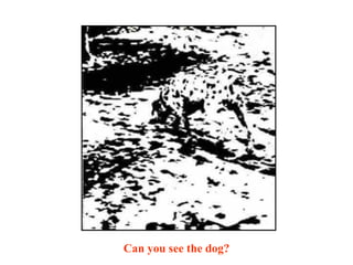 Can you see the dog?  