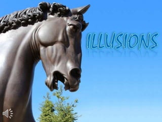 Illusions (v.m.)