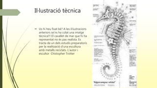 Il·lustració tècnica
 Us hi heu fixat bé? A les il·lustracions
anteriors se’ns ha colat una imatge
tècnica!!! El cavallet de mar que hi ha
representat no és pas realista. Es
tracta de un dels estudis preparatoris
per la realització d’una escultura
amb metalls reciclats. L’autor i
escultor Chistopher Trotter
 