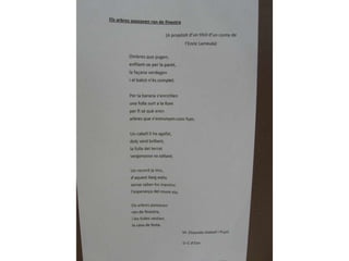 Il·lustració i conte