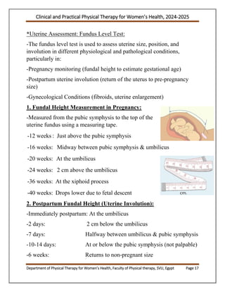 Illustrated PT Women's Health Sheet, SVU, Egypt.pdf