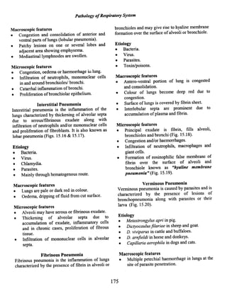 Pathology ofRespiratory System
Macroscopic features
• Congestion and consolidation of anterior and
ventral parts oflungs (lobular pneumonia).
• Patchy lesions on one or several lobes and
adjacent area showing emphysema.
• Mediastinallymphnodes are swollen.
Microscopic features
• Congestion, oedema or haemorrhage in lung.
• Infiltration of neutrophils, mononuclear cells
in and around bronchiolesi bronchi.
• Catarrhal inflammation ofbronchi.
• Proliferation ofbronchiolar epithelium.
Interstitial Pneumonia
Interstitial pneumonia is the inflammation of the
lungs characterized by thickening of alveolar septa
due to serous/fibrinous exudate along with
infiltration of neutrophils and/or mononuclear cells
and proliferation of fibroblasts. It is also known as
lobar pneumonia (Figs. 15.16& 15.17).
Etiology
• Bacteria.
• Virus.
• Chlamydia.
• Parasites.
• Mainly through hematogenous route.
Macroscopic features
• Lungs are pale or dark red in colour.
• Oedema, dripping of fluid from cut surface.
Microscopic features
• Alveoli may have serous or fibrinous exudate.
• Thickening of alveolar septa due to
accumulation of exudate, inflammatory cells
and in chronic cases, proliferation of fibrous
tissue.
• Infiltration of mononuclear cells in alveolar
septa.
Fibrinous Pneumonia
Fibrinous pneumonia is the inflammation of lungs
characterized by the presence of fibrin in alveoli or
175
bronchioles and may give rise to hyaline membrane
formation over the surface ofalveoli or bronchiole.
Etiology
• Bacteria.
• Virus.
• Parasites.
• Toxin/poisons.
Macroscopic features
• Antero-ventral portion of lung is congested
and consolidation.
• Colour of lungs become deep red due to
congestion.
• Surface of lungs is covered by fibrin sheet.
• Interlobular septa are prominent due to
accumulation ofplasma and fibrin.
Microscopic features
• Principal exudate is fibrin, fills alveoli,
bronchioles and bronchi (Fig. 15.18).
• Congestion and/or haemorrhages.
• Infiltration of neutrophils, macrophages and
giant cells.
• Formation of eosinophilic false membrane of
fibrin over the surface of alveoli and
bronchiole known as "hyaline membrane
pneumonia" (Fig. 15.19).
Verminous Pneumonia
Verminous pneumonia is caused by parasites and is
characterized by the presence of lesions of
bronchopneumonia along with parasites or their
larva (Fig. 15.20).
Etiology
• Metastrongylus apri in pig.
• Dictyocaulus filariae in sheep and goat.
• D. viviparus in cattle and buffaloes.
• D. arnfieldi in horse and donkeys.
• Capillaria aerophila in dogs and cats.
Macroscopic features
• Multiple petechial haemorrhage in lungs at the
site ofparasite penetration.
 