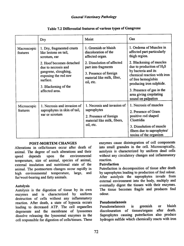 Illustrated veterinary pathology (General & systemic pathology)