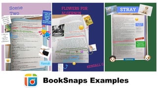 BookSnaps Examples
 